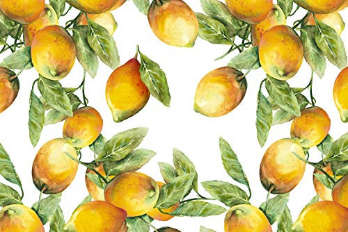 Cuadros Lifestyle Küchen Spritzschutz „Zitronen“ 60x40 cm | Küchenrückwand | Alu-Dibond | Fliesenschutz für den Herd und Spüle | Küche | Küchenfliesen | Fliesenspiegel | Rückwand