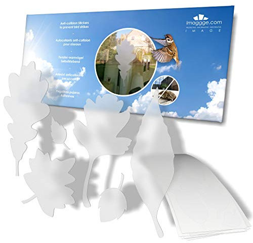 imaggge.com - Window Protection Stickers - Anti-Collision Stickers to Prevent People and Bird Strikes on Window Glass - Set of 39 Tree Leaves Decals - Color: Translucent/Dusted