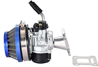 WOOSTAR 19mm Carburatore con Filtro Dell'aria Guarnizione Assemblaggio Sostituzione per 2 Tempi 47cc 49cc Chopper Quad ATV Mini Pocket Bike Blu
