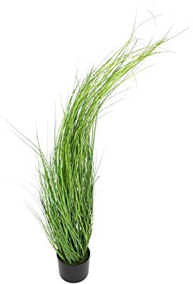 FRANK FLECHTWAREN Kunstpflanze, Kunstblume, Immergrün Pflanze Gras ca. Ø 16 x 120 cm