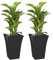GBS Set of 2 Large Milano Tall Planter, Large Planter Flower, Square Flower Garden Planter Pots FOR Indoor, Outdoor,Front Door, Patio, and Deck Sleek Black Finish