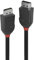 LINDY 36492 2m DisplayPort 1.2 Kabel, Black Line