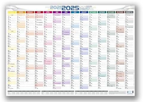 Österreich Jahresplaner Wandplaner Wandkalender 2025 DIN A1 gefalzt (2 Stück)