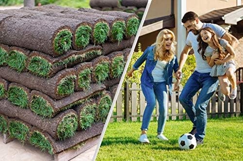 Rollrasen – 10m² echter Fertigrasen - Sorte: Premium Sport- und Spielrasen - Vorgedüngt - Frisch geschält - Gekühlt Geliefert (10 bis 500 qm verfügbar)