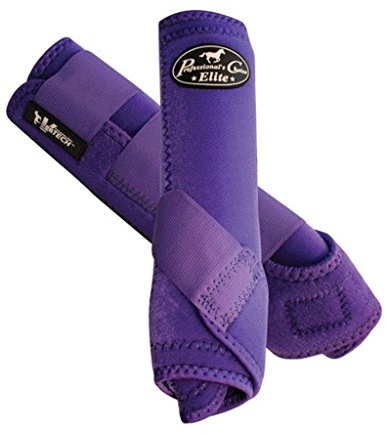 Professional's Choice VenTech SMB Stiefel hinten groß