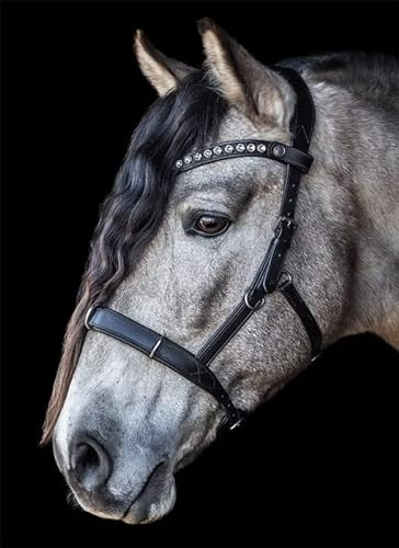 BRIDLERY Stirnriemen Noble White Farbe Braun, Größe Pony
