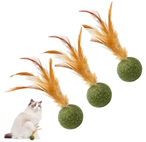 Générique 3pack A Chat Séchée, Boule De Plumes D'herb À Chat pour Chaton, Jouets À Mâcher pour Chaton en Toute Sécurité Et en Bonne Santé