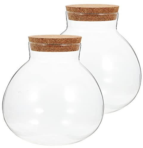 SUPVOX Botella Ecológica para Micropaisaje y Esférico De Vidrio Transparente 2 Piezas 15x16 Cm para Decoración Interior y Jardinería Tapón De Corcho