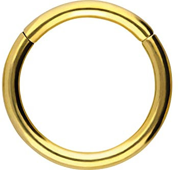 PIERCINGLINE Segmentring Clicker Chirurgenstahl Piercing Ring Nase Ohr Helix Septum Goldfarben 0,8 x 8 mm