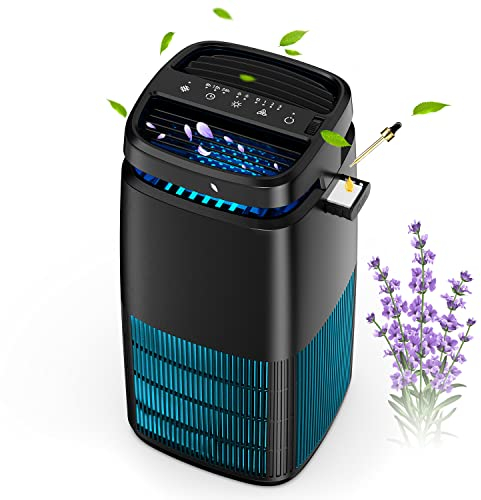 Pomoron Purificador de aire con filtro H13 Hepa captura partículas de 0,3 micras como humo, polen y caspa, limpiador para el cabello con esponja de aromaterapia para