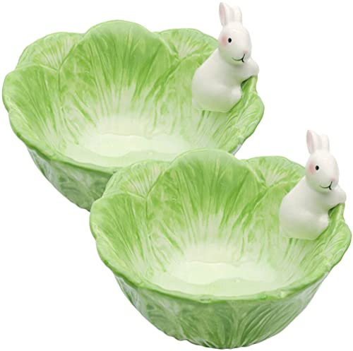 DOITOOL 2 Pièces Bol De Lapin Assiette à Gâteau Bonbon Dessert Bols De Ramen Bol Kawaii Bol De Service Des Aliments Bols De Bonbons Kawaii Pates Fruit Assiette De Salade Céramique Étudiant
