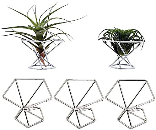 Lrtzizy Paquete de 5 soportes para plantas de aire, soporte para plantas de aire, pantalla de Tillandsias, plantas purificadoras de aire, contenedores de helecho, plata