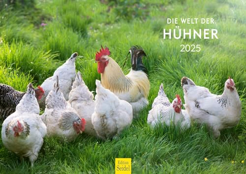 Edition Seidel Premium Kalender Die Welt der Hühner 2025 Format DIN A3 Wandkalender Tierkalender Hühnerkalender Haustiere Huhn Hahn Kücken Vögel