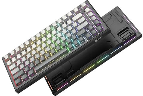 Wireless Mechanical Keyboard,8000mAh -Tri-Mode BT5.0/2.4GHz/USB-C ｜75% Hot Swappable Custom Keyboard｜RGB Backlit｜Pre-lubed Reaper Switches｜Side Printed PBT Keycaps Gaming Keyboards(Black & Gray)
