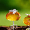 Feine Ohrstecker Ohrringe - S925 Handgemachte Natur Bernstein Schmetterling Frauen Ohrstecker, Trend Neuheit Ohrring Schmuck Geschenk Für Weihnachten Einzigartige Geburtstag Hochzeit Party,Gelb