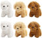 ANBOOR 6 Kleine Kuscheltiere 12cm Süßes Hündchen-Plüsch-Stofftier Mit Schlüsselanhänger Cuddly Toy Für Partygeschenke, Kindergarten Ostern Deko (Braun, Weiß, Hellbraun)