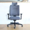 Viasit Toleo, ergonomischer Bürostuhl, 3D-Sitztechnik, individuell anpassbar (Toleo Pro, Schwarz)