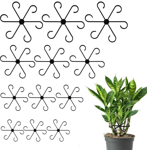 KSVFTB 12 Pcs Plant Supports for Indoor Plants, Plant Stem Support, Support Clips for Alocasia, Climbing Houseplant, Reusable Plastic Stem Holders for Climbing Plants Thriving Growth