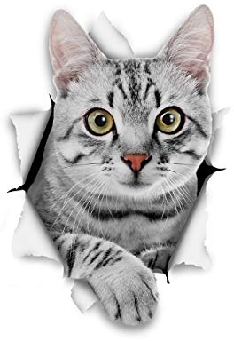 Winston & Bear 3D Cat Stickers - 2 Pack - Grey Tabby Cat Stickers for Wall, Fridge, Toilet and More