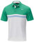 Mizuno Herren Quick Dry Horizon Soft Touch Tech Polo-Hemd - Mint - L