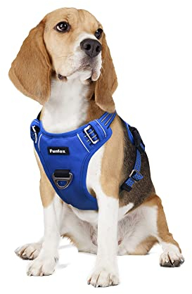 Funfox Hundegeschirr Mittelgroße Hunde [M] - Verstellbares Anti-Zug Brustgeschirr mit Griff & Reflektorstreifen, Atmungsaktives No Pull Hundegeschirr für Grosse/Kleine Hunde Outdoor Blau
