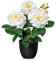 Briful 28CM Small Artificial White Roses in Pot - Silk Flowers for Spring Summer Home Kitchen Decor