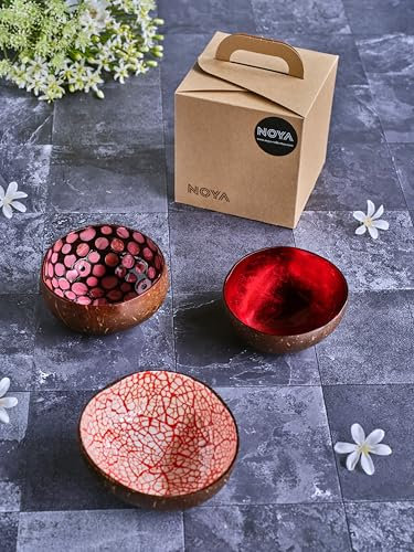 Noya Lot de 3 bols couleurs assortis en Noix de Coco, D14 Cm