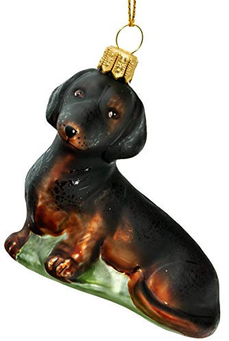 SIKORA BS707 Kurzhaar Dackel Christbaumschmuck Glas Figur Weihnachtsbaum Anhänger - Premium Line, Variante:schwarz - rot