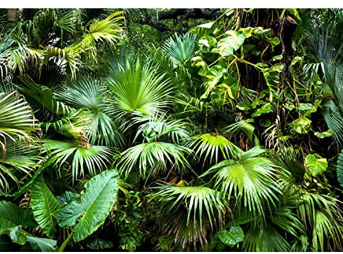 Runa Art Fototapete 3D tropische Pflanze Modern Vlies Wohnzimmer Schlafzimmer - Made in Germany - 308 x 220 cm Grün 9465010a