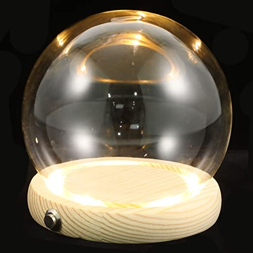 Angoily 1 Satz Hand Glas Abdeckung Ewige Blumenabdeckung Aus Glas Beleuchteter Ausstellungsstand Kuppel in Glasform Glocke Mit Kuppelglas Aus Klarem Glas Rosenkugel Einmachglas Holz Metall
