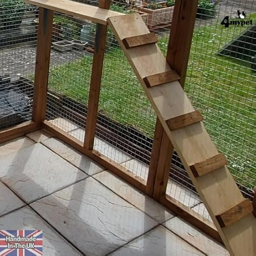 Ladder for Maine Coon Or Large Breeds