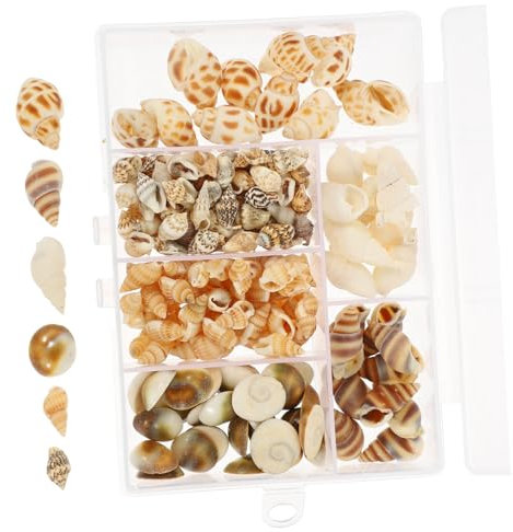 SEWOART 1 Kasten Mit Dekorativen Winzigen Muscheln Natürliche Muschel Diy-handwerk Miniatur-muscheln Dekore