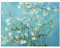 Bilderwelten Glasbild Wandbild Vincent Van Gogh Mandelblüte 60 cm x 80 cm