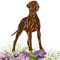 Terma Stahldesign Edelrost Hund Verschiedene Rassen, Handmade Germany, tolle gartendeko aus Rost-Metall, deko rostoptik, Rostfiguren Tiere, rostfiguren Garten, Rostdeko (Deutsche Dogge)