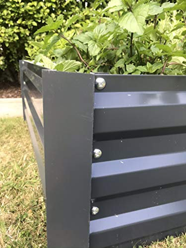 Metal Garden Raised bed Rectangular L180cm W90cm H60cm Strong construction Cream. Galvanised or grey metal (Dark Grey)