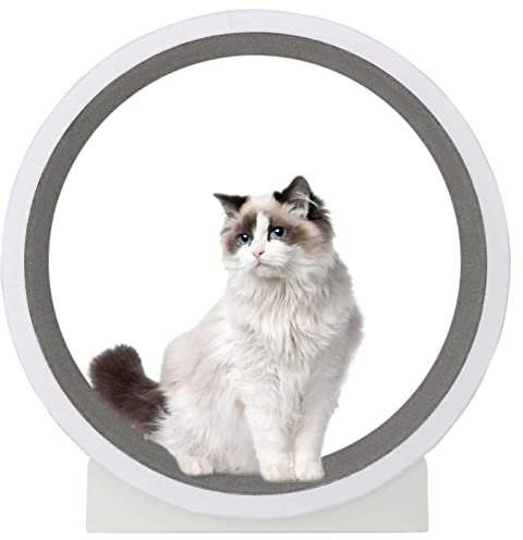 SSQUZA katzenlaufrad Laufrad für Katzen, Indoor-Katzenlaufrad, Katzen-Laufband mit Teppich-Laufbahn, für Wohnzimmer/Schlafzimmer bietet Bewegung für Katzen