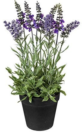 Gasper Künstlicher Lavendel im Topf H. 33cm grün lila Kunstblumen