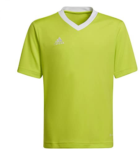 adidas Entrada 22 Jersey T-Shirt, Tmssye, 164 Unisex niños