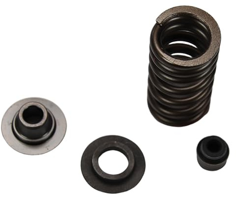 Federsatz Maxtuned für Auslassventil, 2R000260