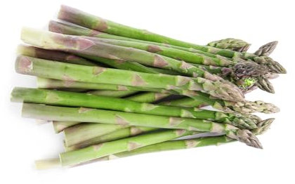 150 piezas Semillas de plantas de espárragos - Semillas orgánicas Balcón de vegetales, Espárragos officinalis, Plantas en macetas Plantas de bonsái perennes resistentes Jardín Variedades