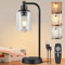 Lampada da Tavolo Senza Fili, Lampada LED Ricaricabile USB con Telecomando, Lampada da Comodino Portatile Touch Dimmerabile, Timer, Paralume in Vetro, Per Camera da Letto Soggiorno Bar, Nero