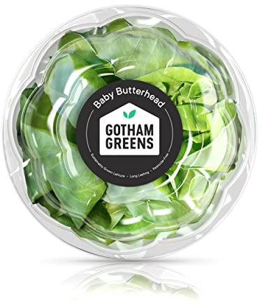 Gotham Greens Baby Butterhead, 1 Each