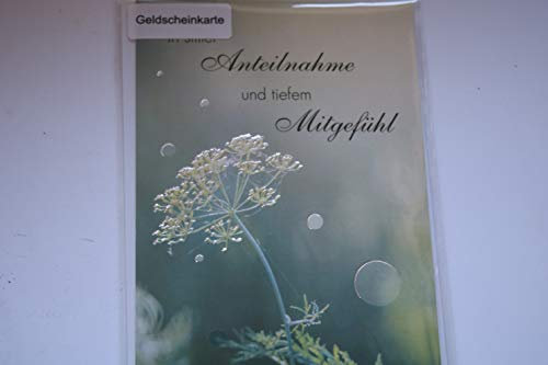 Trauerkarte Geldscheinkarte In stiller Anteilnahme und tiefem Mitgefühl Karte mit Umschlag 1 Stück