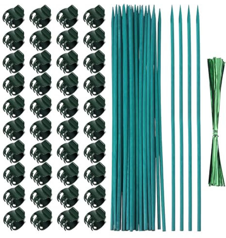 kawehiop Clip in bambù Pratica per i Porta Piante Bastoncini per Orchidee Protezione per Tronco d'albero in plastica ABS di Colore Verde Pali per Orchidee Trasparenti