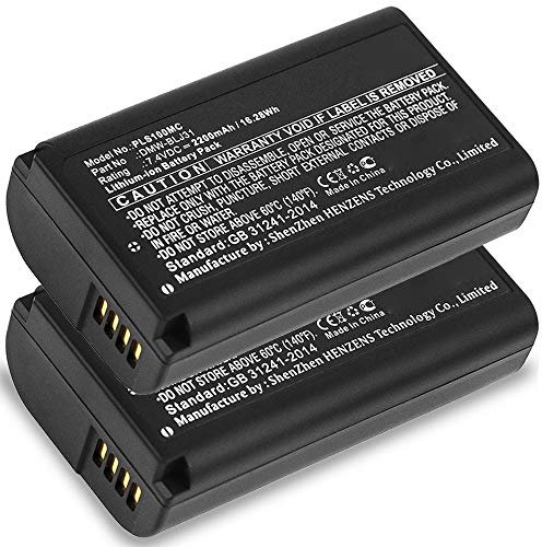subtel, Akku für Kamera, kompatibel mit Panasonic Lumix DC-S1, DC-S1R, DC-S1H, DMW-BLJ31 (7.4V, 2200mAh) 2 Stück
