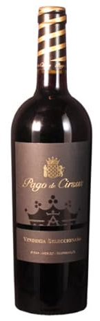Bodegas Inaki Nunez 2020 Pago de Cirsus Vendimia Seleccionada Navarra DO 0.75 Liter