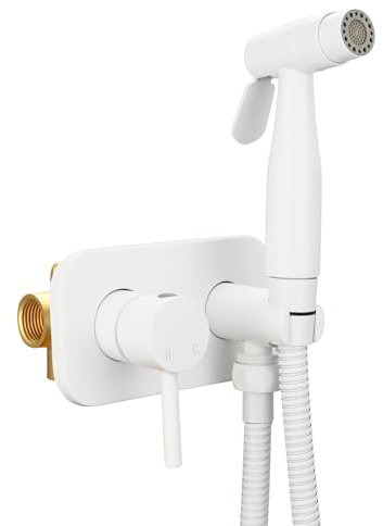 Tecmolog Hot and Cold Bidet Tap Stainless Steel 2 Function Handheld Bidet Sprayer Set with Shower Hose for Toilet, WS024AWF1