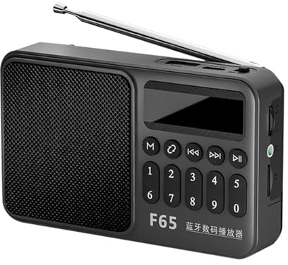 Radio Am FM Portátil,Radio a Pilas con USB - Electrónica de Consumo para Casa, Jardín, Acampada, Viajes, Coche, Garaje, Piscina y Personas Mayores