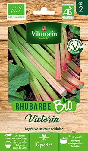 Vilmorin - Rhubarbe Victoria Bio - Agréable saveur acidulée -Semences Issues d'une Culture Conforme aux règles de l'agriculture Biologique - Plante Rustique - très Bonne qualité gustative