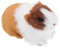 Gatuida Figurine de Hamster Réaliste en Peluche Modèle Décoratif pour Chambre d'Garçon et Filles Jouet Éducatif Décoration de Fête Ornement de Hamster Artificiel Compact et Détail Réaliste